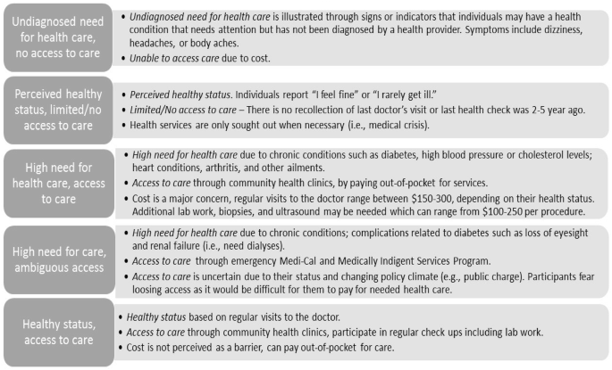 Latinx Undocumented Older Adults Health Needs And Access To Healthcare Springerlink