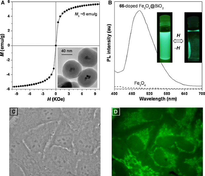 figure 30