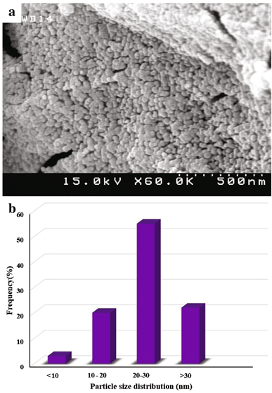 figure 15