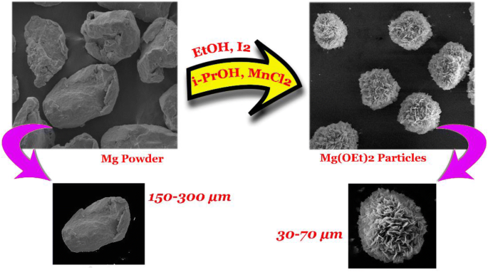 How do the chemical structures of Magnesium Ethoxide and Magnesium Hydroxide differ? How do the chemical structures of Magnesium Ethoxide and Magnesium Hydroxide differ?