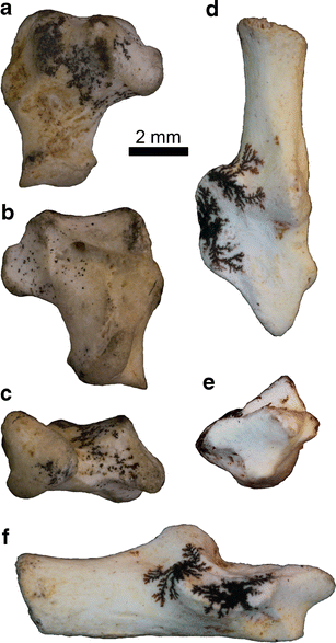 figure 13