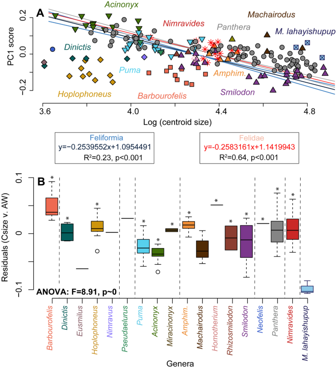Quantitative Analyses Of Feliform Humeri Reveal The Existence Of A Very Large Cat In North America During The Miocene Springerlink Quantitative Analyses Of Feliform Humeri Reveal The Existence Of A Very Large Cat In North America During The Miocene Springerlink