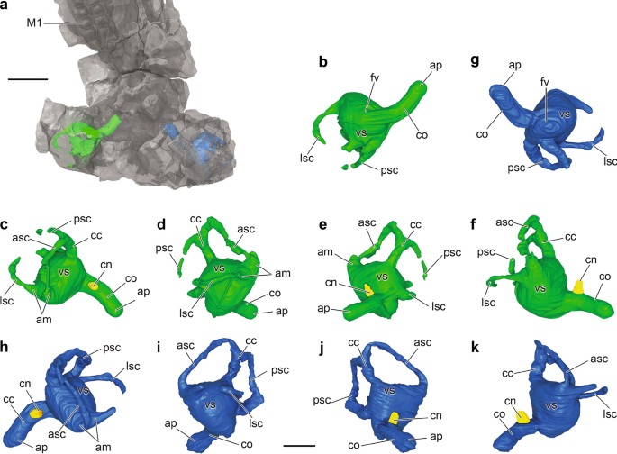 figure 15