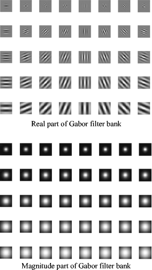Non-invasive Health Status Detection System Using Gabor Filters Based on  Facial Block Texture Features | SpringerLink