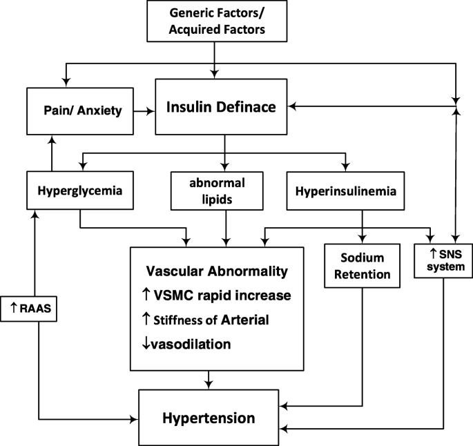 Blood Glucose Regulation For Post Operative Patients With Diabetics And Hypertension Continuum A Cascade Control Based Approach Springerlink