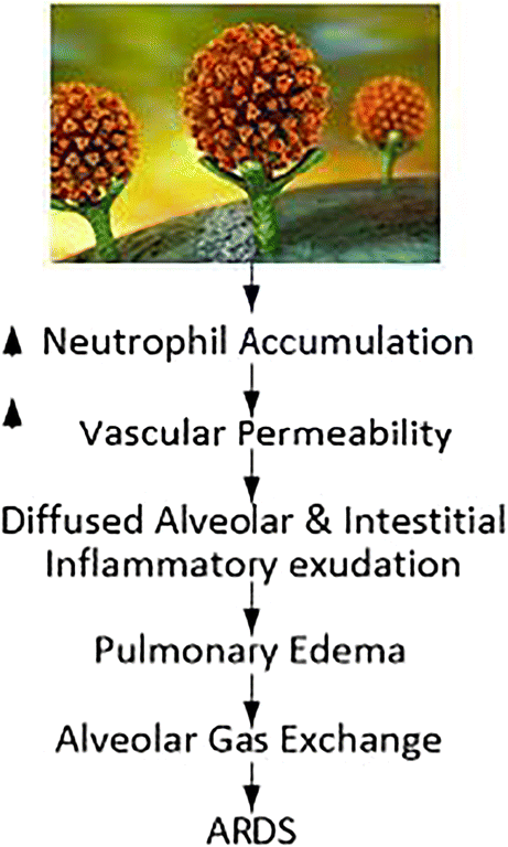 figure 24