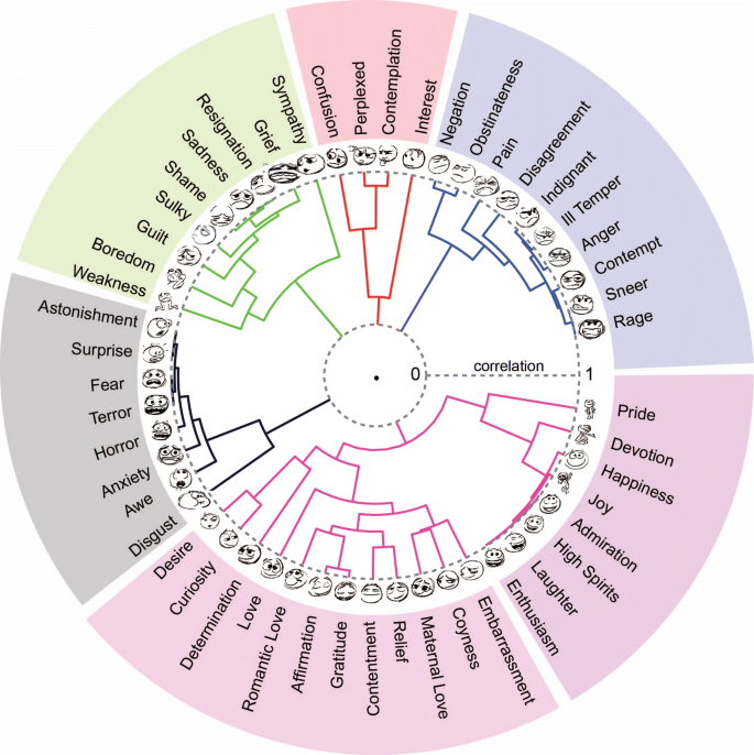 Emotional Expression Advances In Basic Emotion Theory Springerlink