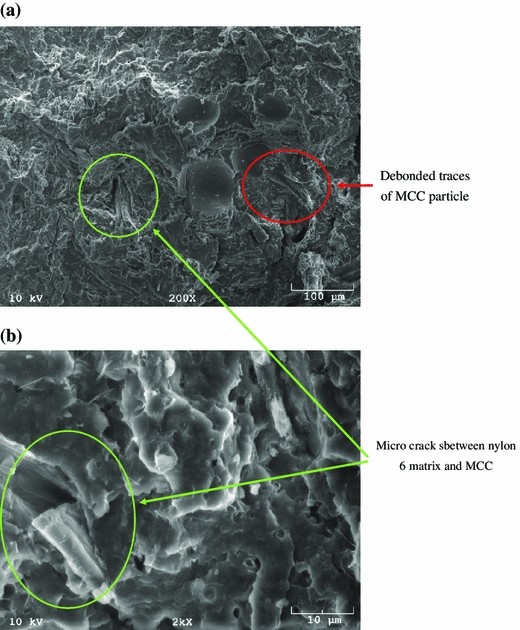 Mechanical Properties Of Microcrystalline Cellulose Mcc Filled Engineering Thermoplastic Composites Springerlink