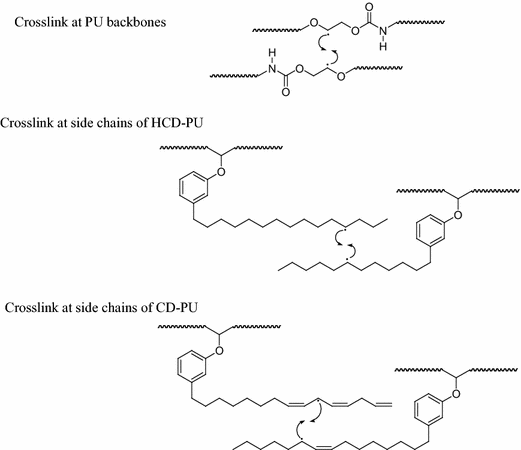 scheme 5