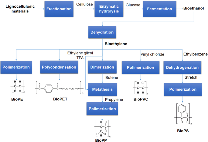 Review: Bio-polyethylene from Wood Wastes | SpringerLink