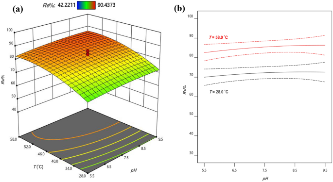 Magnetic Nanocomposites Containing Low and Medium-Molecular Weight Chitosan  for Dye Adsorption: Hydrophilic Property Versus Functional Groups