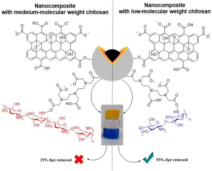 Magnetic Nanocomposites Containing Low and Medium-Molecular Weight Chitosan  for Dye Adsorption: Hydrophilic Property Versus Functional Groups