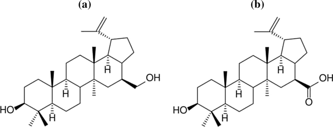 Natural Biocidal Compounds of Plant Origin as Biodegradable 
