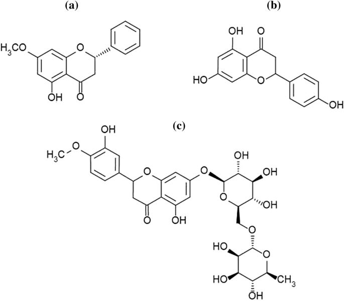 Natural Biocidal Compounds of Plant Origin as Biodegradable 