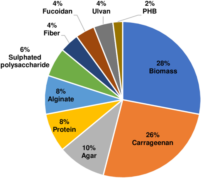 10 Things to know about Agar Agar Bioplastics