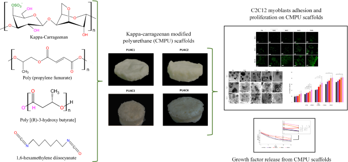 Research Products International Corp Carrageenan, Kappa Type, 100 Grams