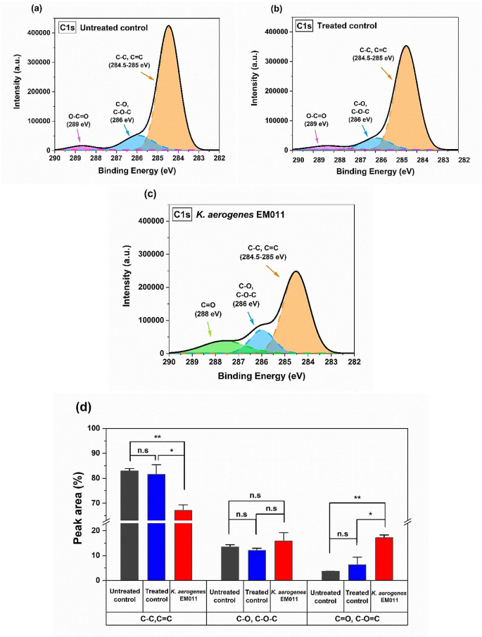 Biodegradation of Ethylene Vinyl Acetate Using Klebsiella aerogenes
