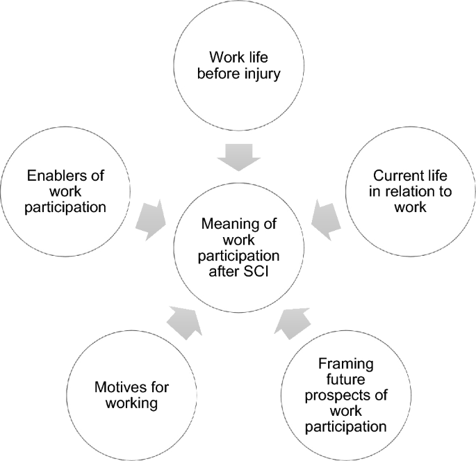 Meaning of Work Participation After Spinal Cord Injury in Bangladesh A
