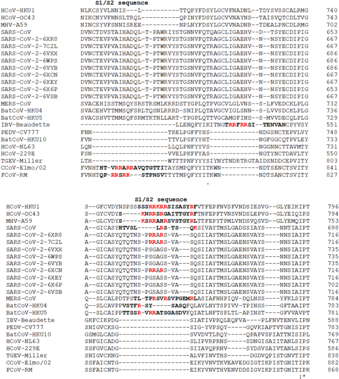 An Overview Of The Crystallized Structures Of The Sars Cov 2 Springerlink