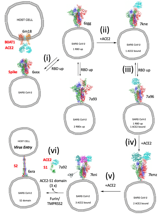 figure 28