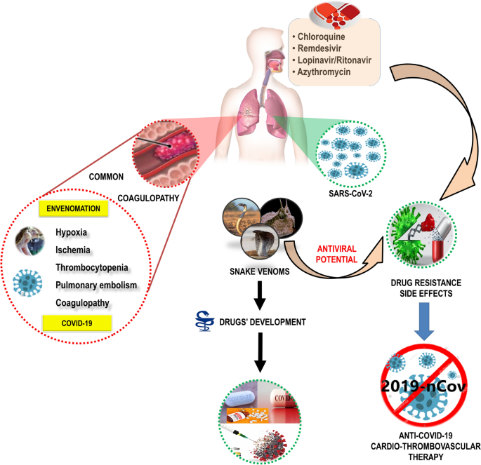 Bioactive Molecules Derived from Snake Venoms with Therapeutic