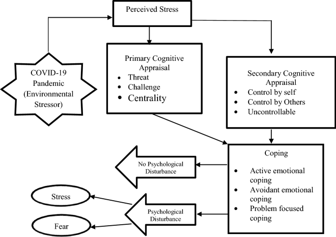 Model Of Emotion Primary Cognitive Appraisal Theory Example