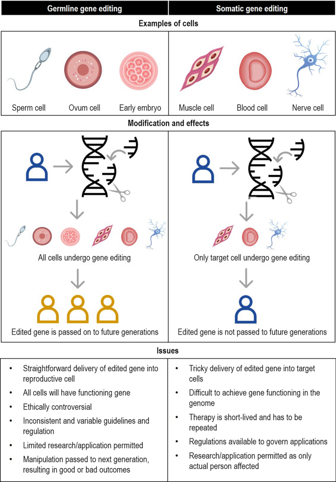 Playing God? Many faiths agree that tinkering with genes is out of bounds -  Genetic Literacy Project