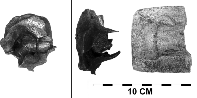 The Organisation And Practice Of Metal Smithing In Later Bronze Age Europe Springerlink