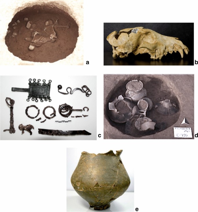 Dogs That Ate Plants Changes In The Canine Diet During The Late Bronze Age And The First Iron Age In The Northeast Iberian Peninsula Springerlink