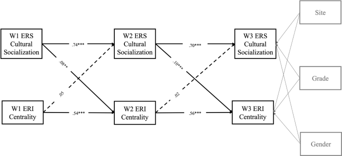 Associations between Family Ethnic-Racial Socialization and Ethnic ...