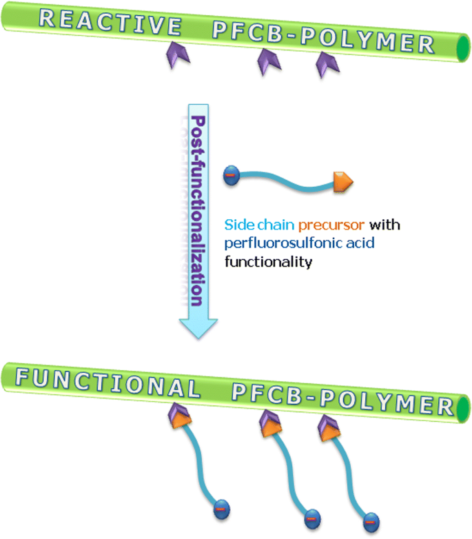 Post Functionalization Of Perfluorocyclobutyl Aryl Ether Polymers With A Novel Perfluorosulfonated Side Chain Precursor Journal Of Polymer Research X Mol