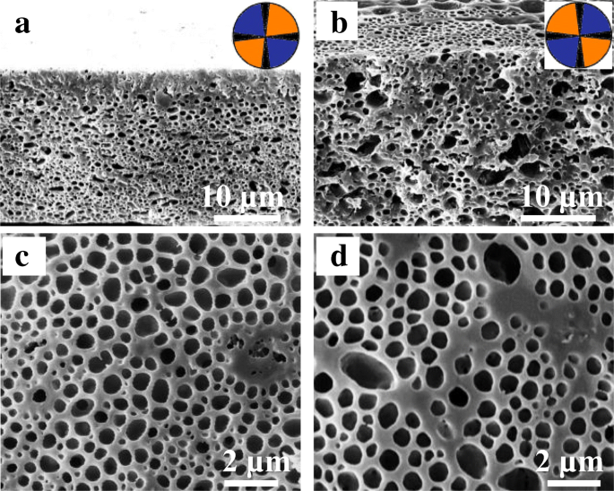 Dendritic Polymer Spherulites Birefringence Correlating With