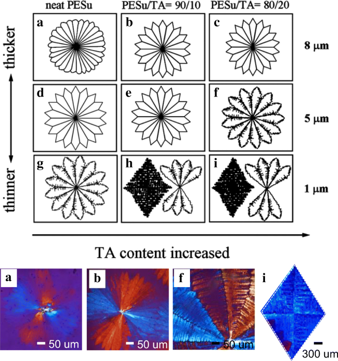 Dendritic Polymer Spherulites Birefringence Correlating With Lamellae Assembly And Origins Of Superimposed Ring Bands Springerlink Dendritic Polymer Spherulites Birefringence Correlating With Lamellae Assembly And Origins Of Superimposed Ring Bands Springerlink