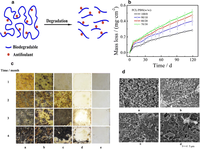 An Overview Of Controlled Biocide Release Coating Based On Polymer Resin For Marine Antifouling Applications Springerlink