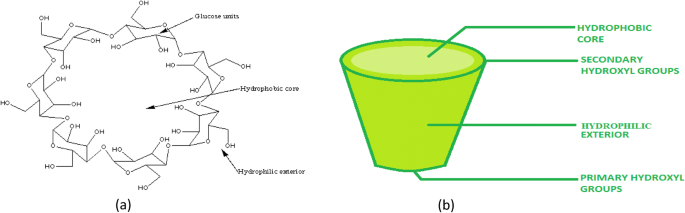 Synthesis, characterization and applications of copolymer of β –  cyclodextrin: a review | SpringerLink