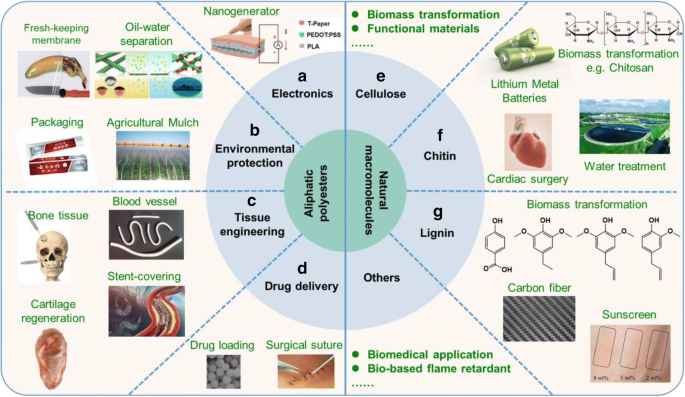 Biodegradable polyesters for medical and ecological applications