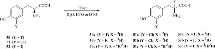 figure 41