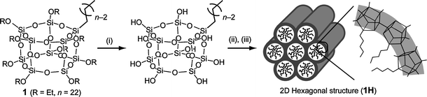 scheme1