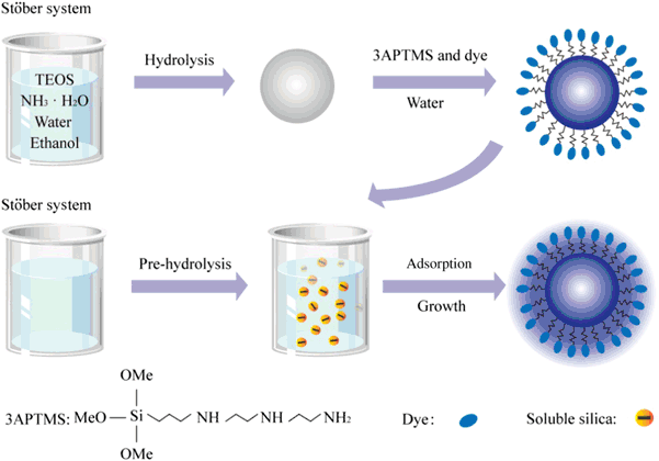 scheme 1