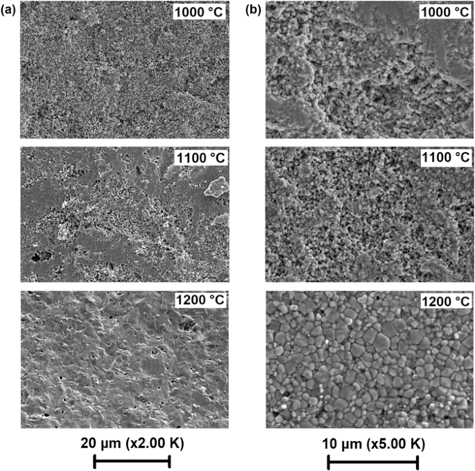 Electrical And Electrochemical Characteristics Of La 0 6 Sr 0 4 Coo 3 D Cathode Materials Synthesized By A Modified Citrate Edta Sol Gel Method Assisted With Activated Carbon For Proton Conducting Solid Oxide Fuel Cell Application Electrical And Electrochemical Characteristics Of La 0 6 Sr 0 4 Coo 3 D Cathode Materials Synthesized By A Modified Citrate Edta Sol Gel Method Assisted With Activated Carbon For Proton Conducting Solid Oxide Fuel Cell Application
