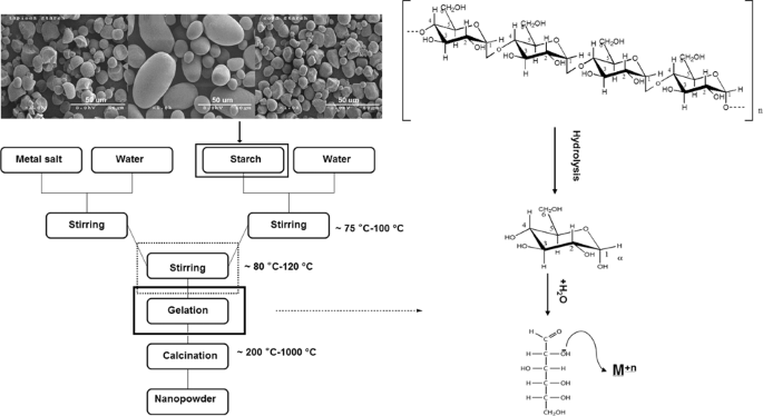Role of starch in the ceramic powder synthesis: a review | SpringerLink