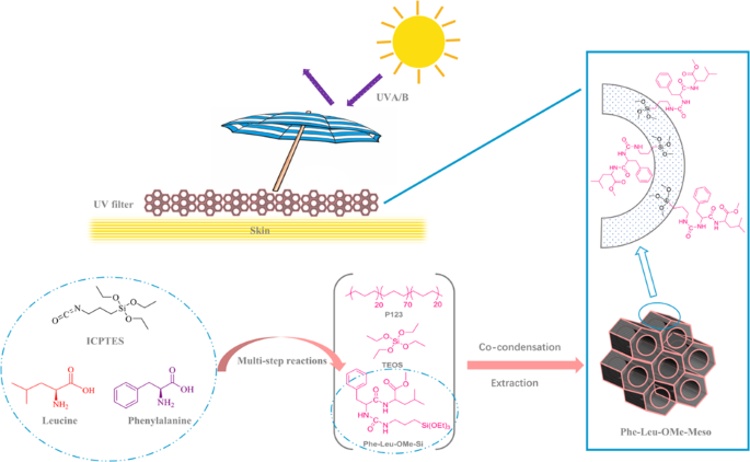 Synthesis of phenylalanine and leucine dipeptide functionalized silica-based  nanoporous material as a safe UV filter for sunscreen | SpringerLink
