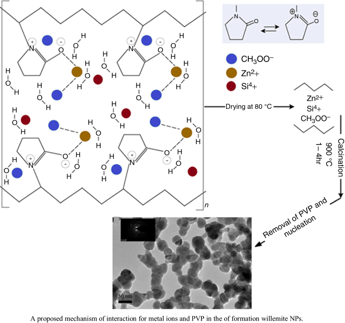 Effects Of Polyvinylpyrrolidone On Structural And Optical Properties Of Willemite Semiconductor Nanoparticles By Polymer Thermal Treatment Method Springerlink