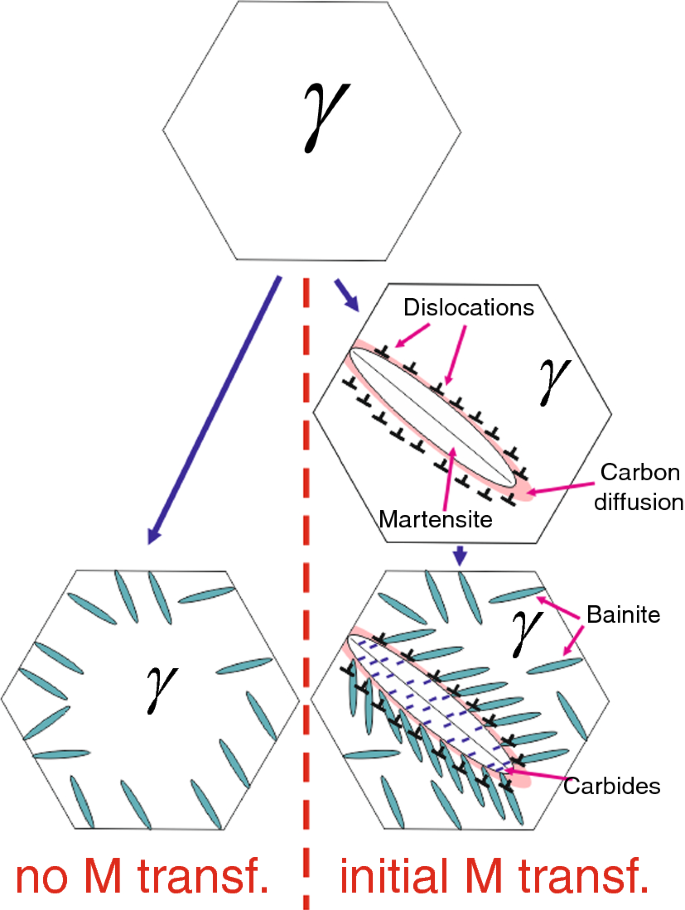Sketch illustrating the microstructural evolution during conventional   Download Scientific Diagram