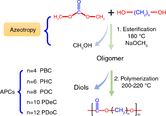 Long-Chain Aliphatic Polymers To Bridge the Gap between Semicrystalline  Polyolefins and Traditional Polycondensates