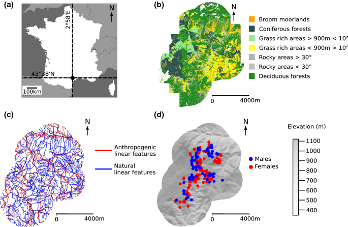 Landscape Genetics Matches With Behavioral Ecology And Brings New Insight On The Functional Connectivity In Mediterranean Mouflon Springerlink