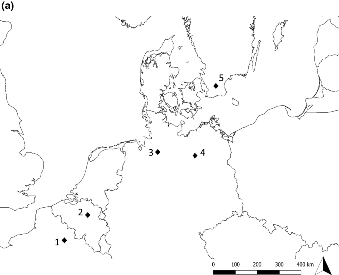 Small Forest Patches As Pollinator Habitat Oases In An Agricultural Desert Springerlink