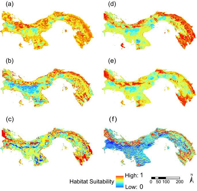 Scale-dependent seasonal habitat selection by jaguars (Panthera onca) and  pumas (Puma concolor) in Panama | SpringerLink
