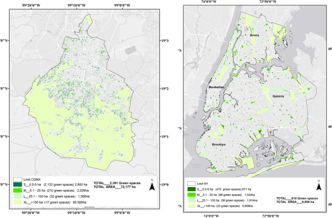 Landscape spatial patterns in Mexico City and New York City: contrasting  territories for biodiversity planning | SpringerLink
