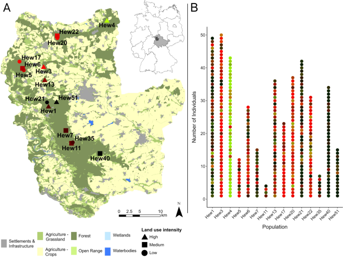 Myodes Rutilus Distribution Assessing the effects of land-use intensity on small mammal community ...